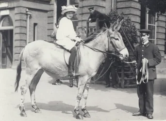 En ung dam som rider på en rumpa som leds av en målvakt medan en annan ser på, London Zoo maj 1914